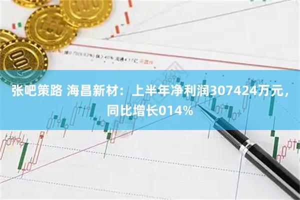 张吧策路 海昌新材：上半年净利润307424万元，同比增长014%