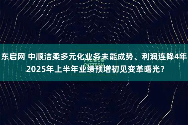 东启网 中顺洁柔多元化业务未能成势、利润连降4年 2025年上半年业绩预增初见变革曙光？