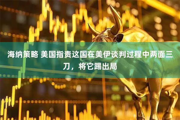 海纳策略 美国指责这国在美伊谈判过程中两面三刀，将它踢出局