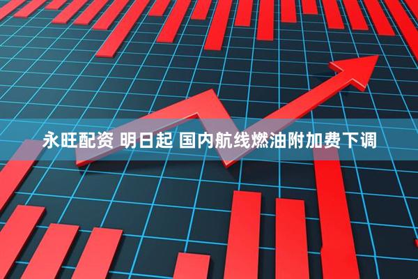 永旺配资 明日起 国内航线燃油附加费下调