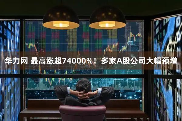 华力网 最高涨超74000%！多家A股公司大幅预增